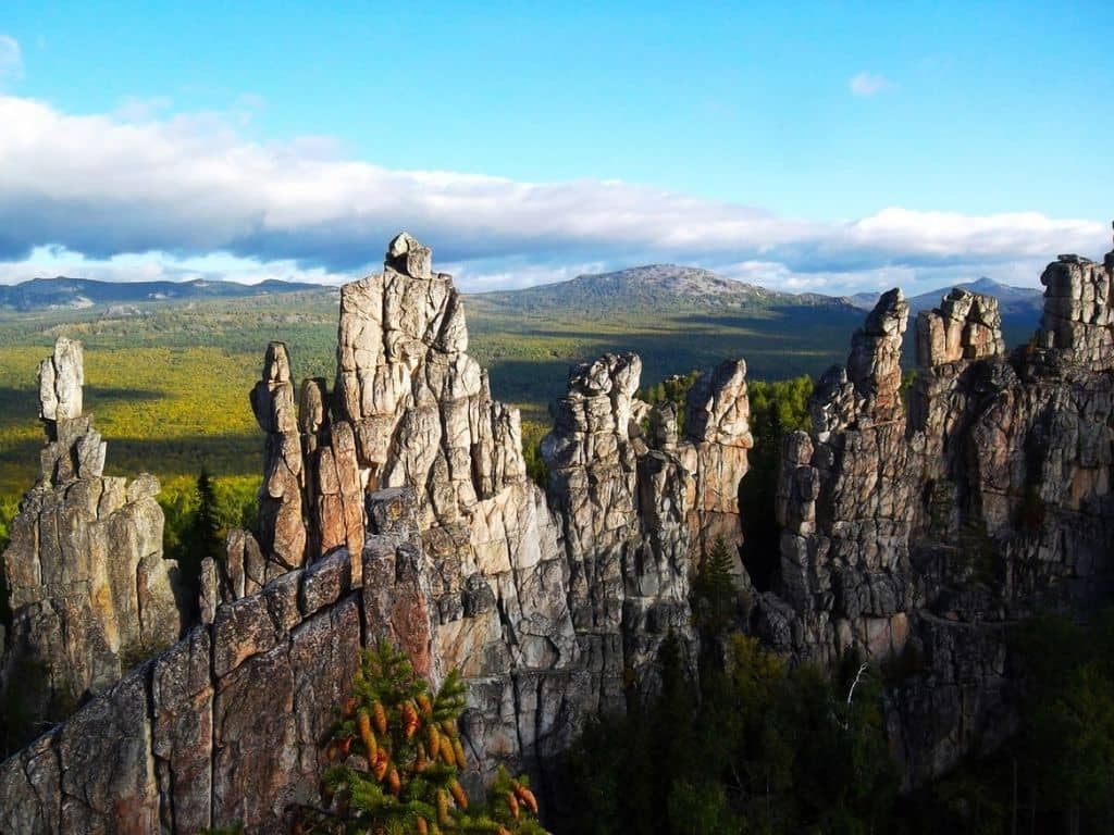 Инзерские зубчатки фото летом